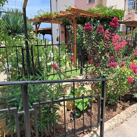 Konukevi Neli Sea Süzebolu