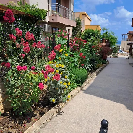 בית הארחה Neli Sea 3*