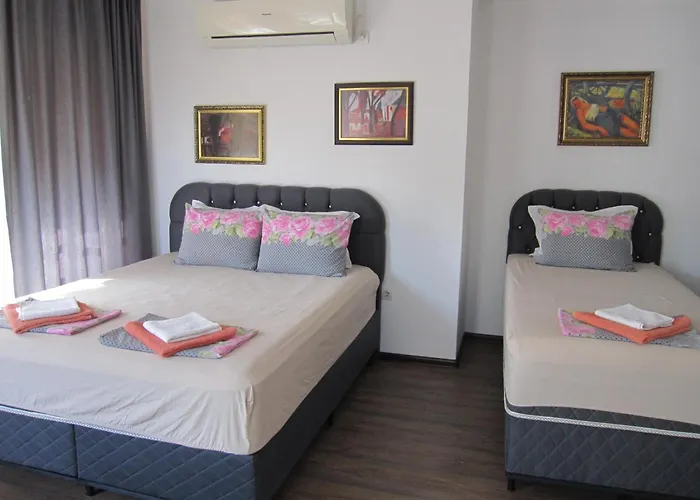 Neli Sea بيت ضيافة 3*