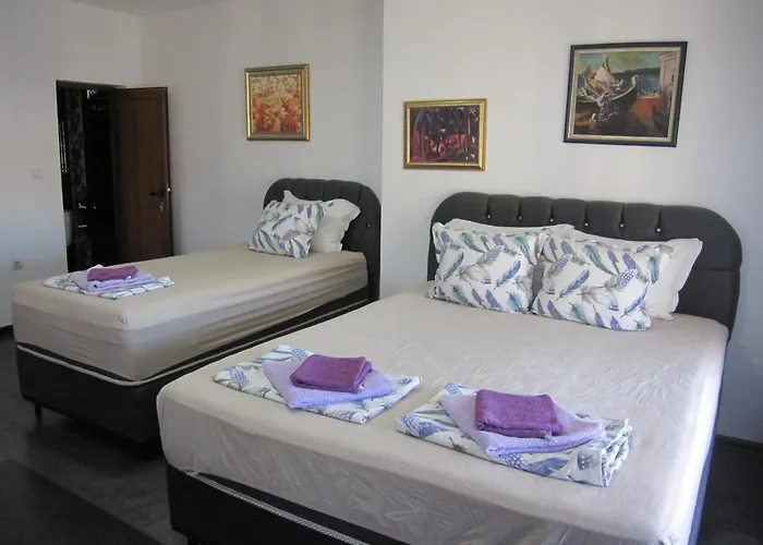 بيت ضيافة Neli Sea سوزوبول