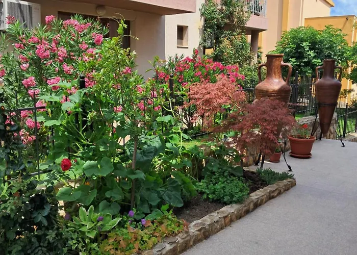 Neli Sea سوزوبول