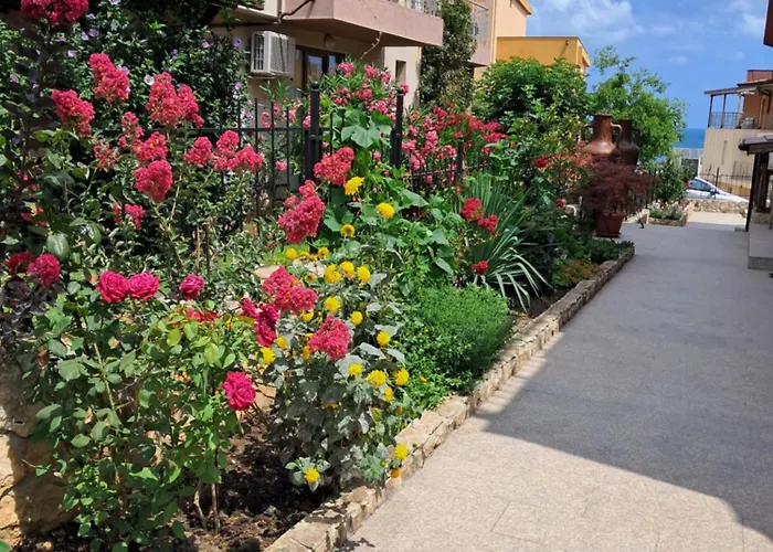 بيت ضيافة Neli Sea 3*