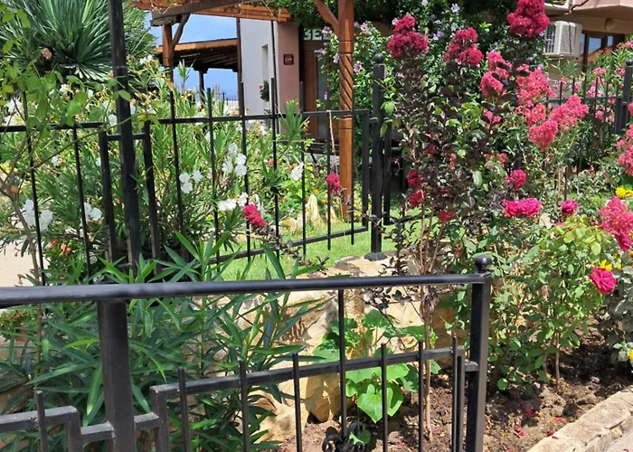 بيت ضيافة Neli Sea سوزوبول